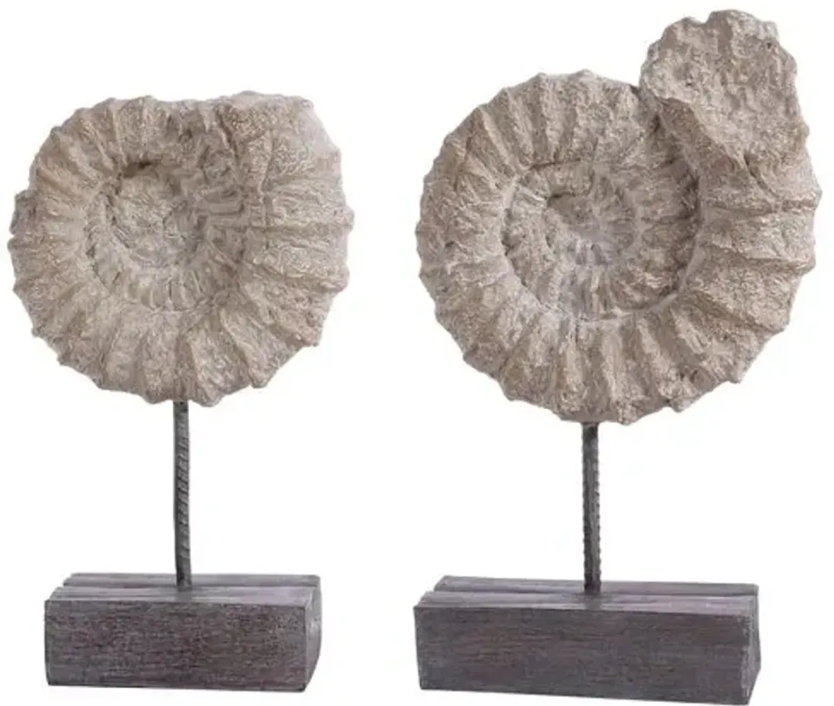 Set of 2 Jackie Ammonite Shell - Black/White - Gray