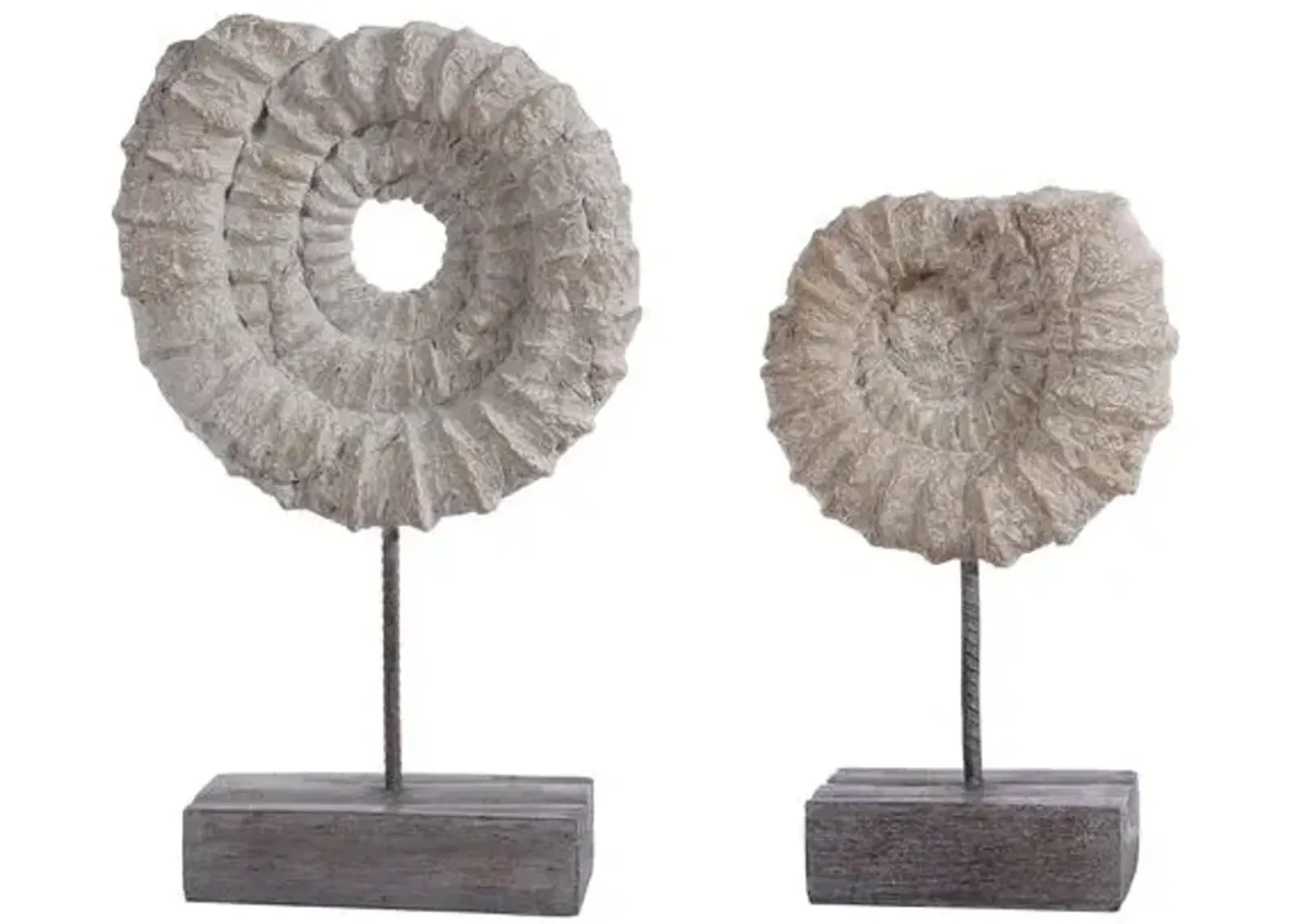 Set of 2 Betty Ammonite Shell - Black/White