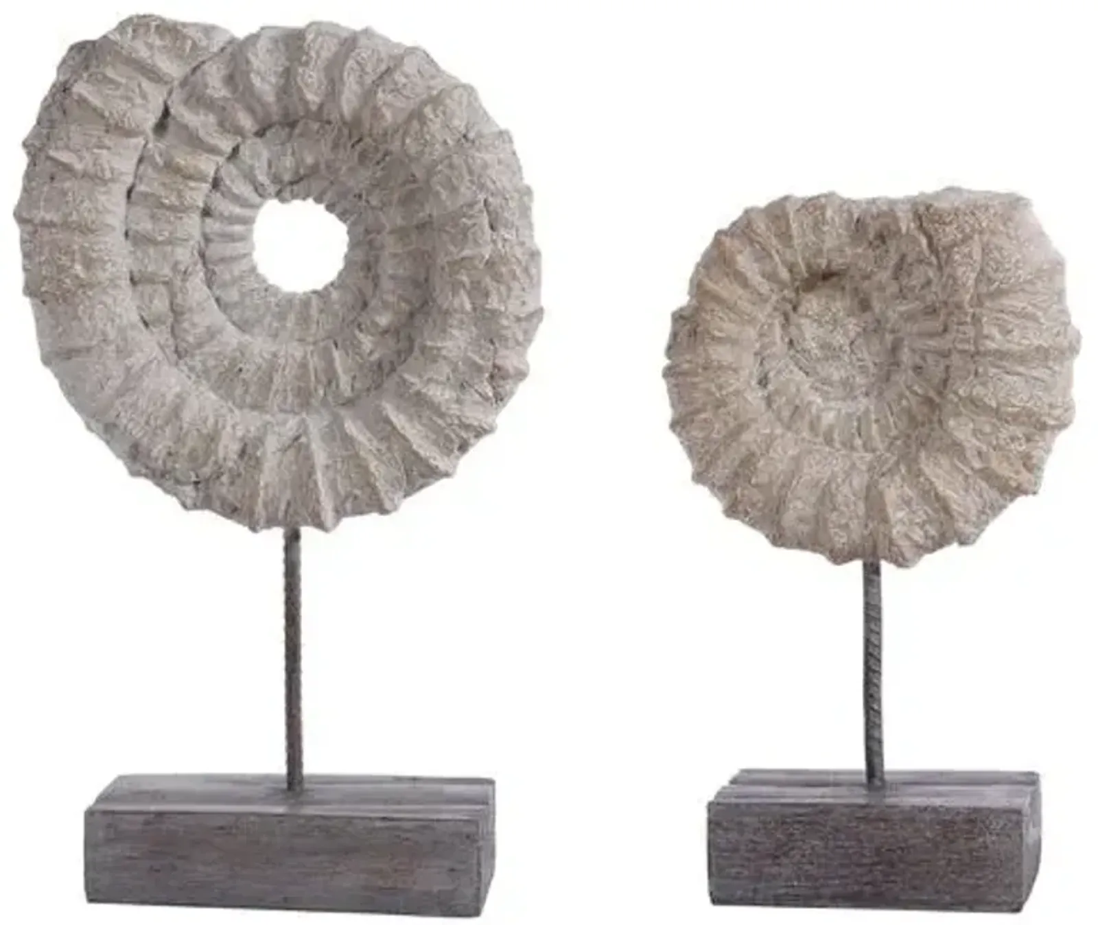 Set of 2 Betty Ammonite Shell - Black/White