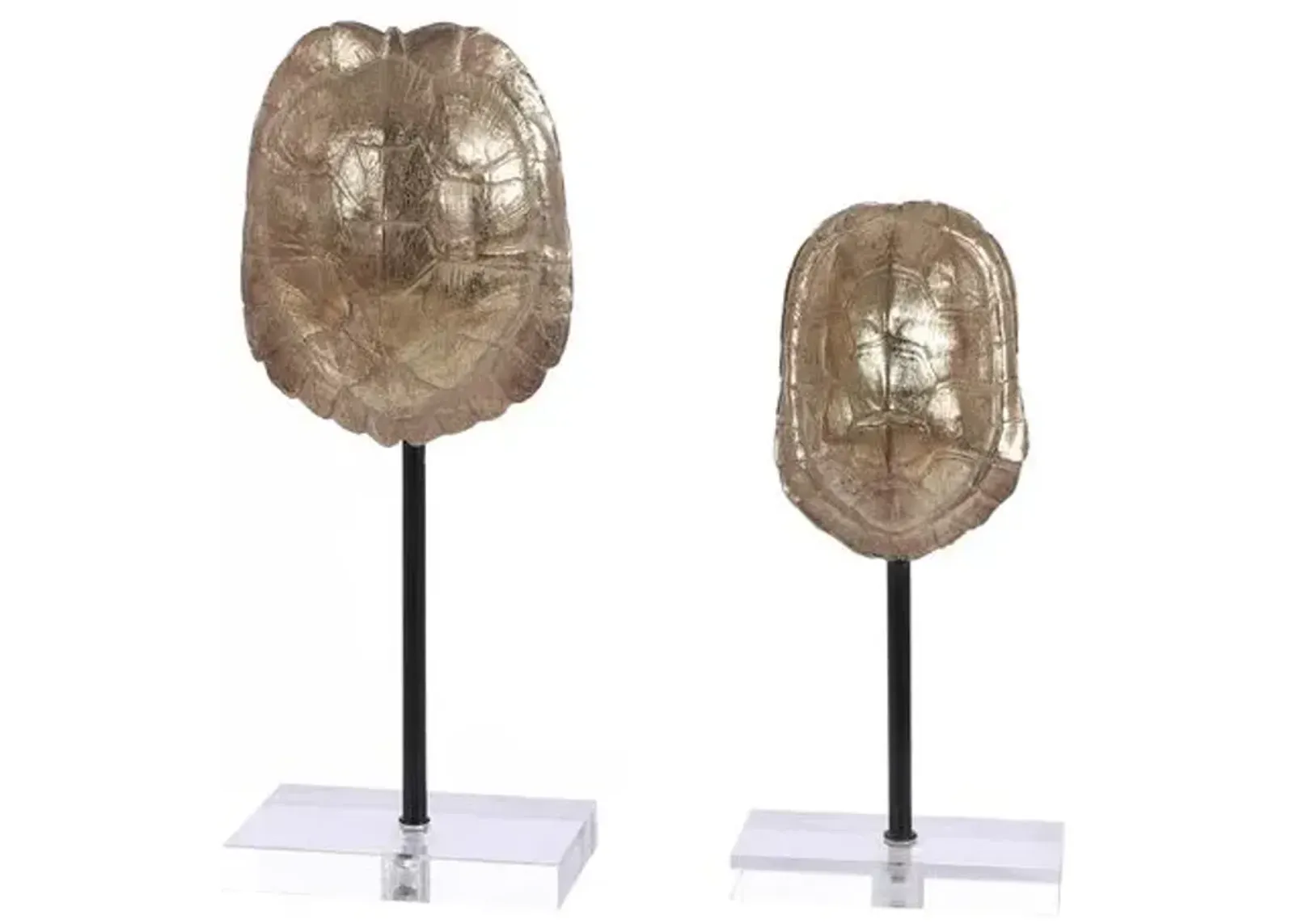 Set of 2 Cleo Turtle Shell - Gold