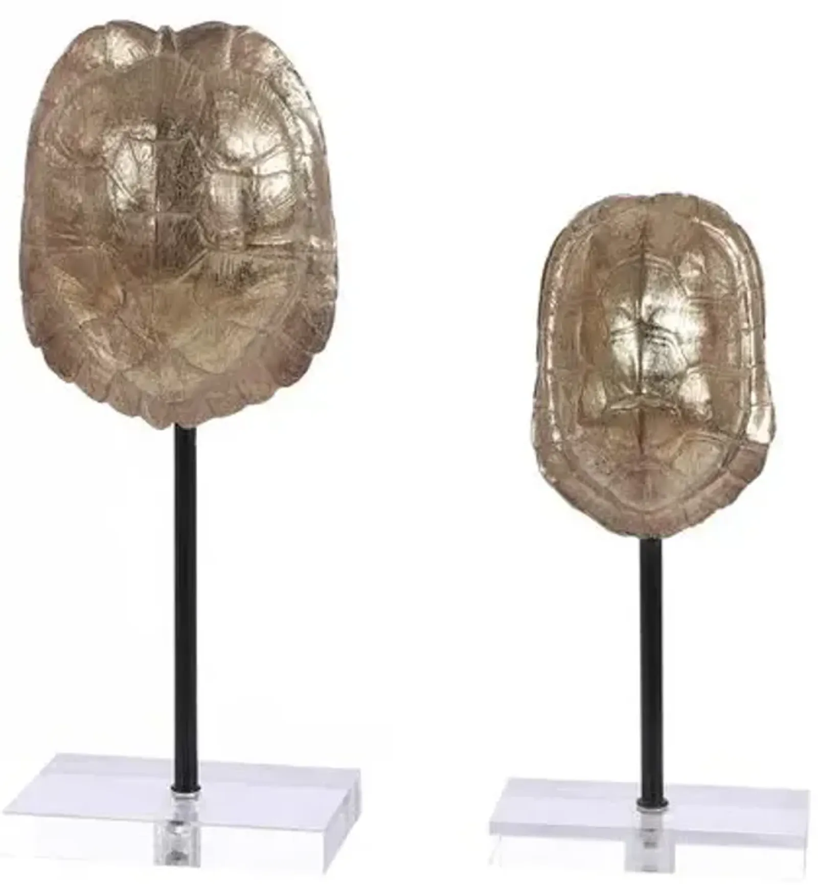 Set of 2 Cleo Turtle Shell - Gold