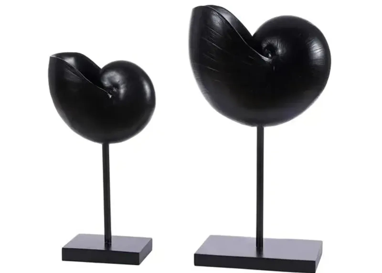 Set of 2 Speedy Snail - Black