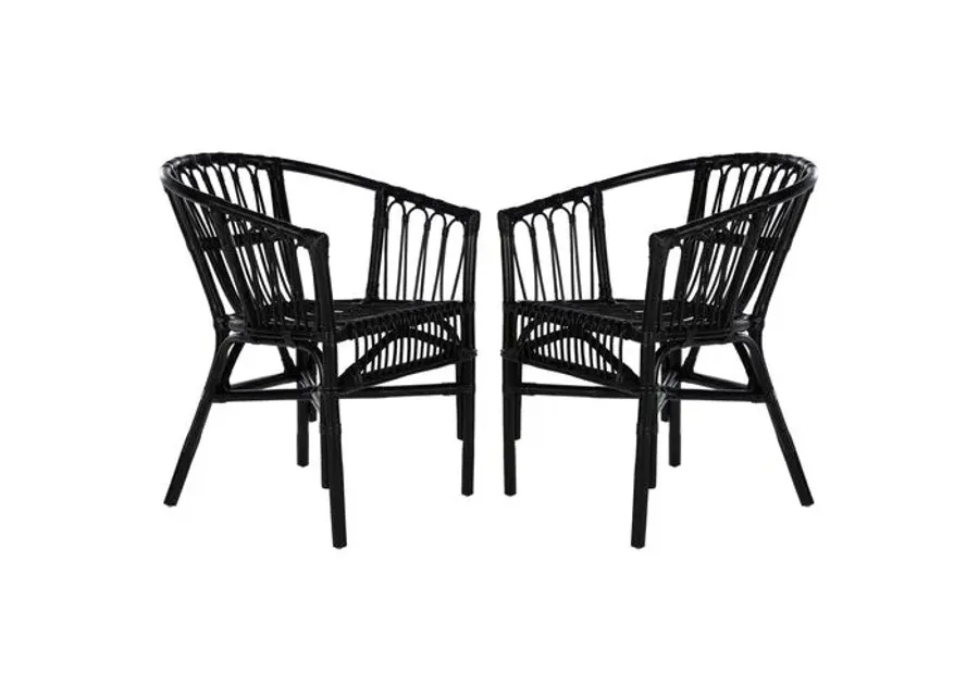 Set of 2 Bruno Rattan Accent Chairs - Black, Comfortable, Durable