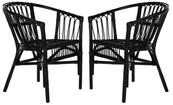 S/2 Bruno Rattan Accent Chairs