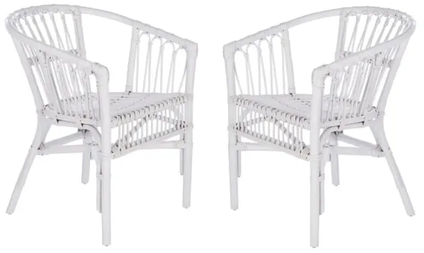 S/2 Bruno Rattan Accent Chairs