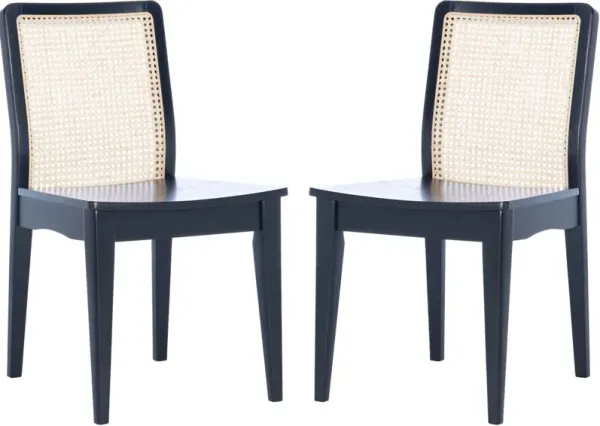 S/2 Stefania Rattan Dining Chairs