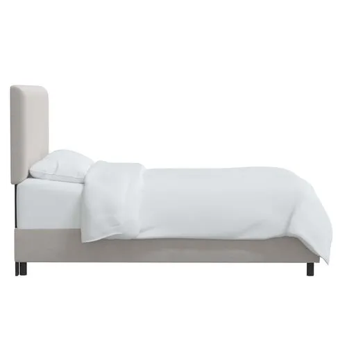 Novak Velvet Bed - Gray