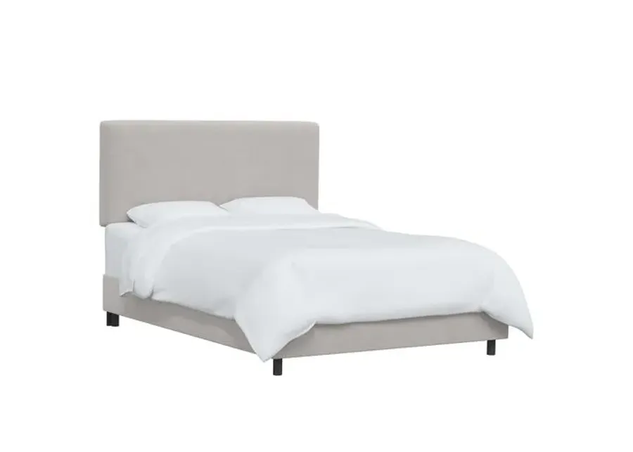 Novak Velvet Bed - Gray