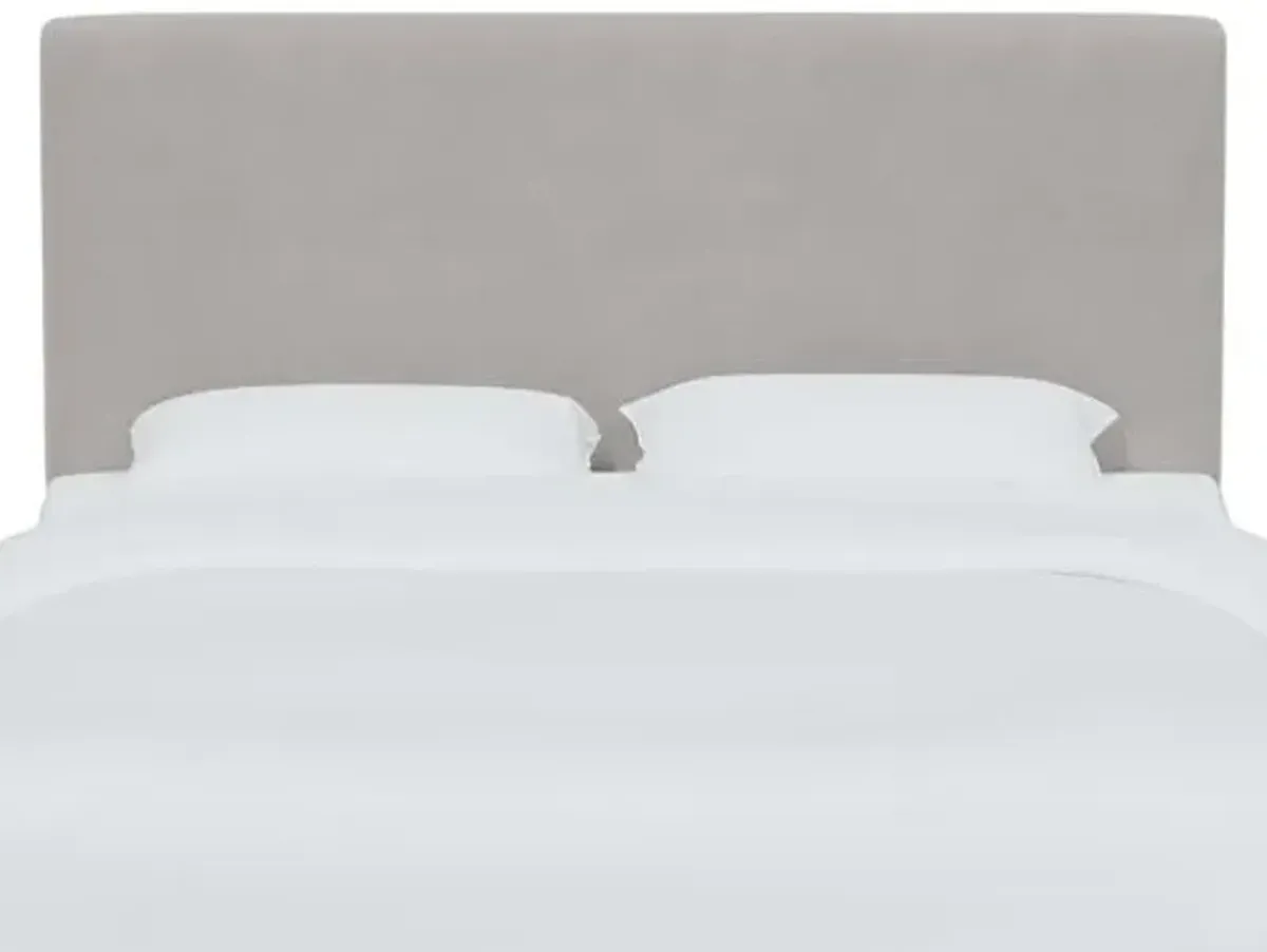 Novak Velvet Headboard - Gray