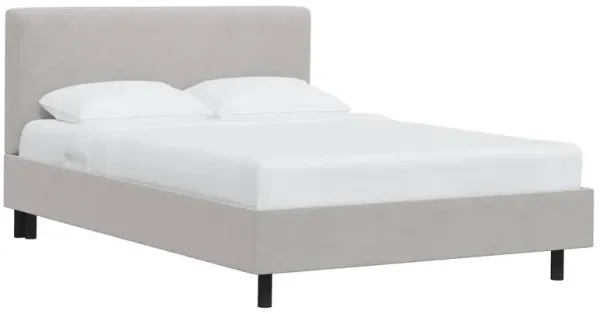 Novak Velvet Platform Bed
