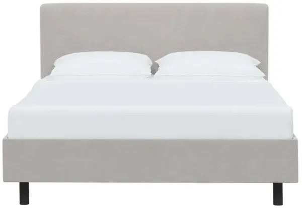 Novak Velvet Platform Bed