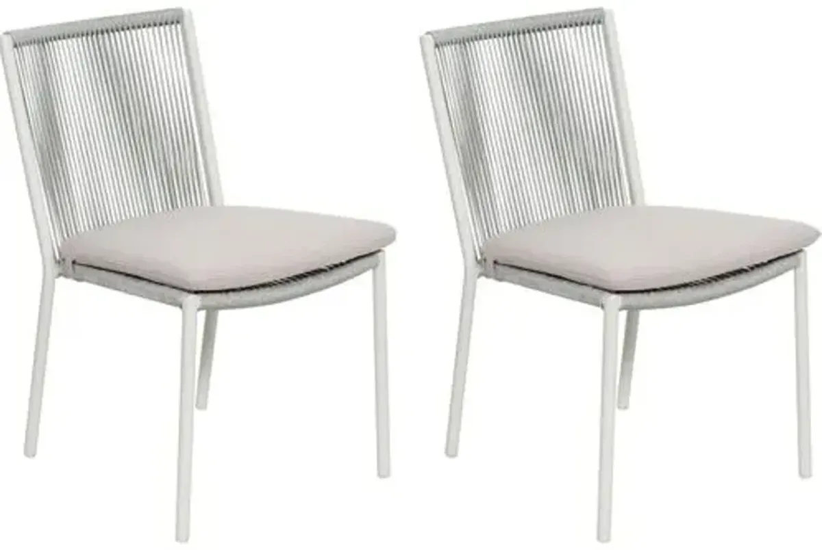 Set of 2 Darrin Outdoor Dining Chairs - Dove Gray/Taupe