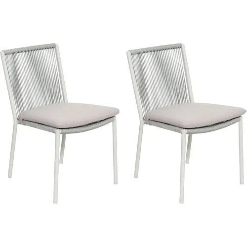 Set of 2 Darrin Outdoor Dining Chairs - Dove Gray/Taupe