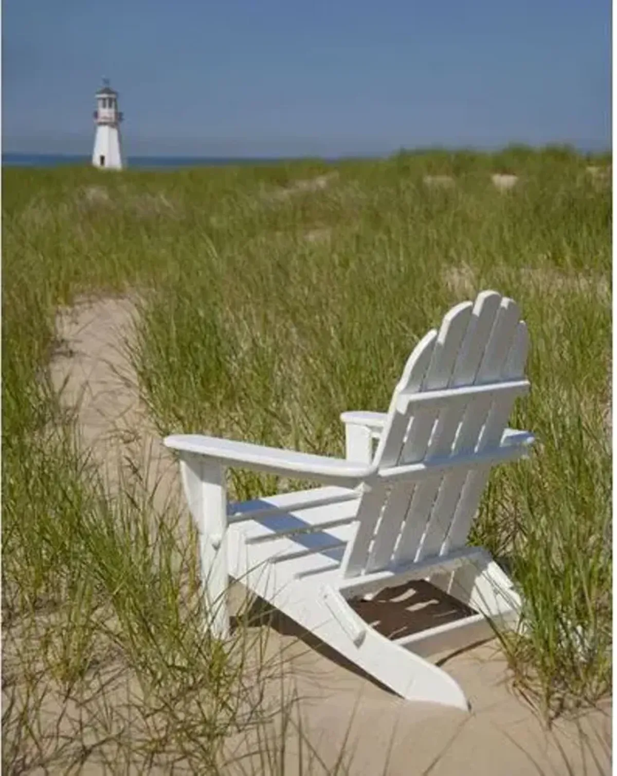 Ruth Outdoor Adirondack Chair - Navy - Blue