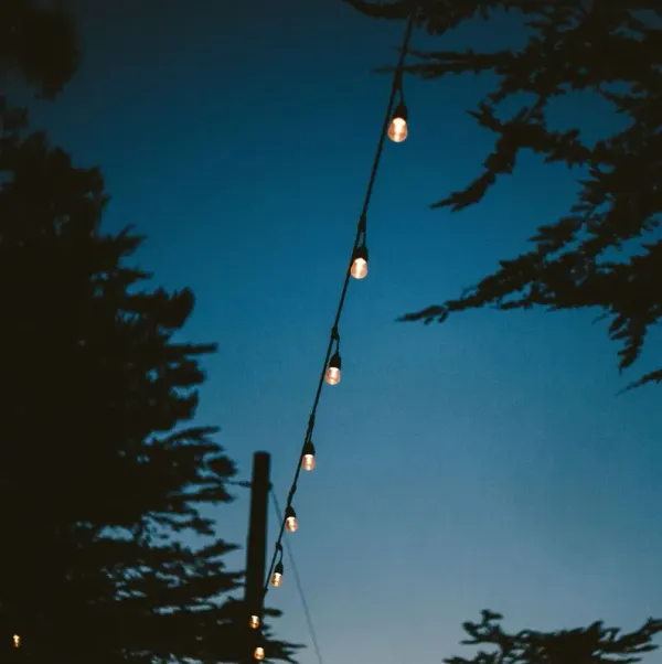 Caleb 10-Pc String Lights, Black