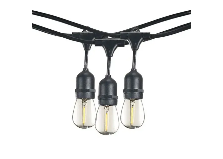 Caleb 10-Pc String Lights - Black