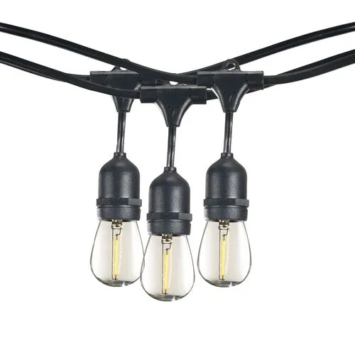 Caleb 10-Pc String Lights - Black