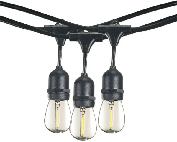 Caleb 10-Pc String Lights, Black