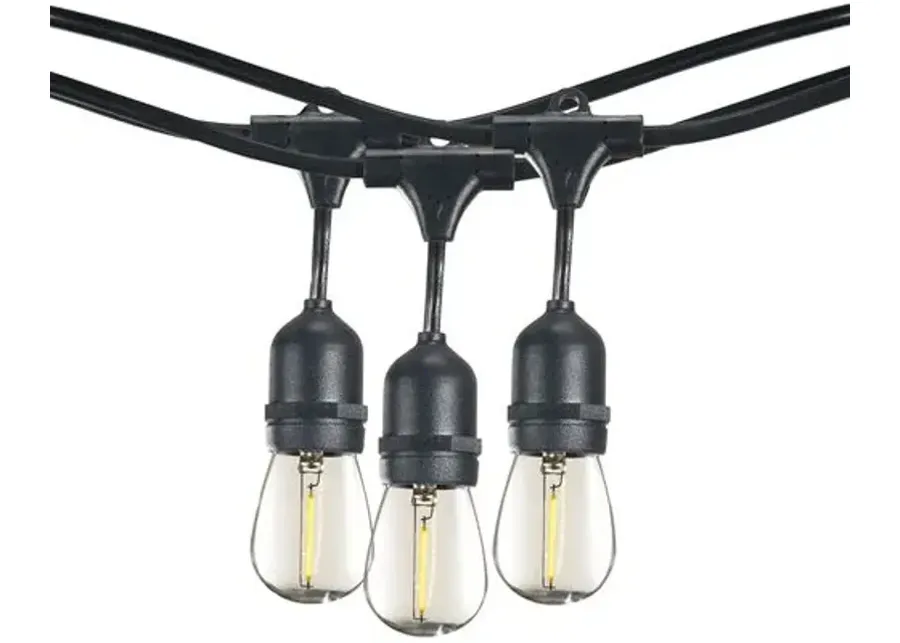 Caleb 12-Pc String Lights - Black