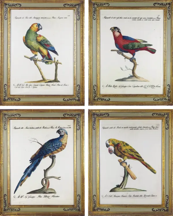 Parrot Prints in Florentine Frames Set of 4 - Antiquarian Art Company - Beige