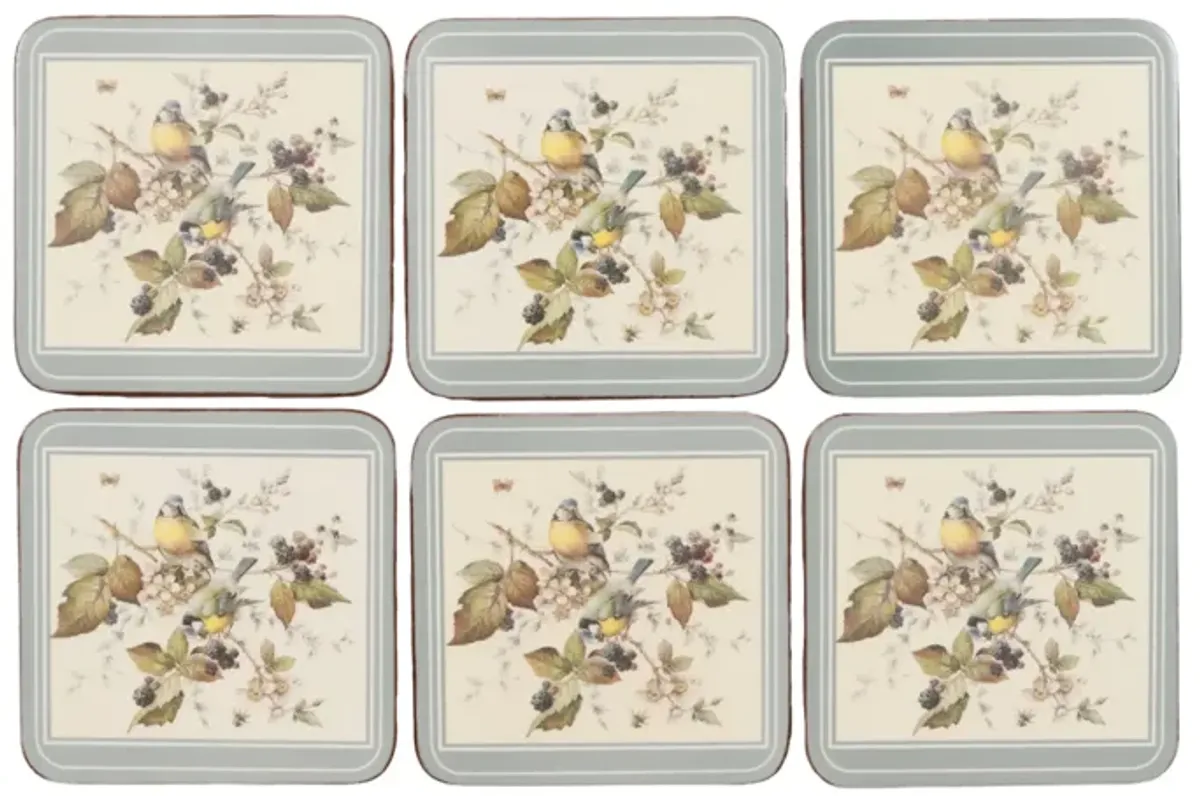 Pimpernel Blue Tit Coasters - Set of 6 - Interesting Things - White