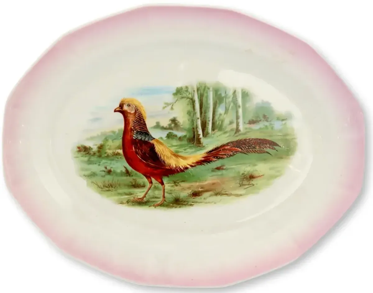 English Pheasant Platter w/Pink Rim - Rose Victoria