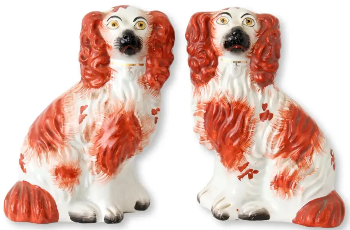 English Staffordshire King Charles Dogs - Rose Victoria - Brown