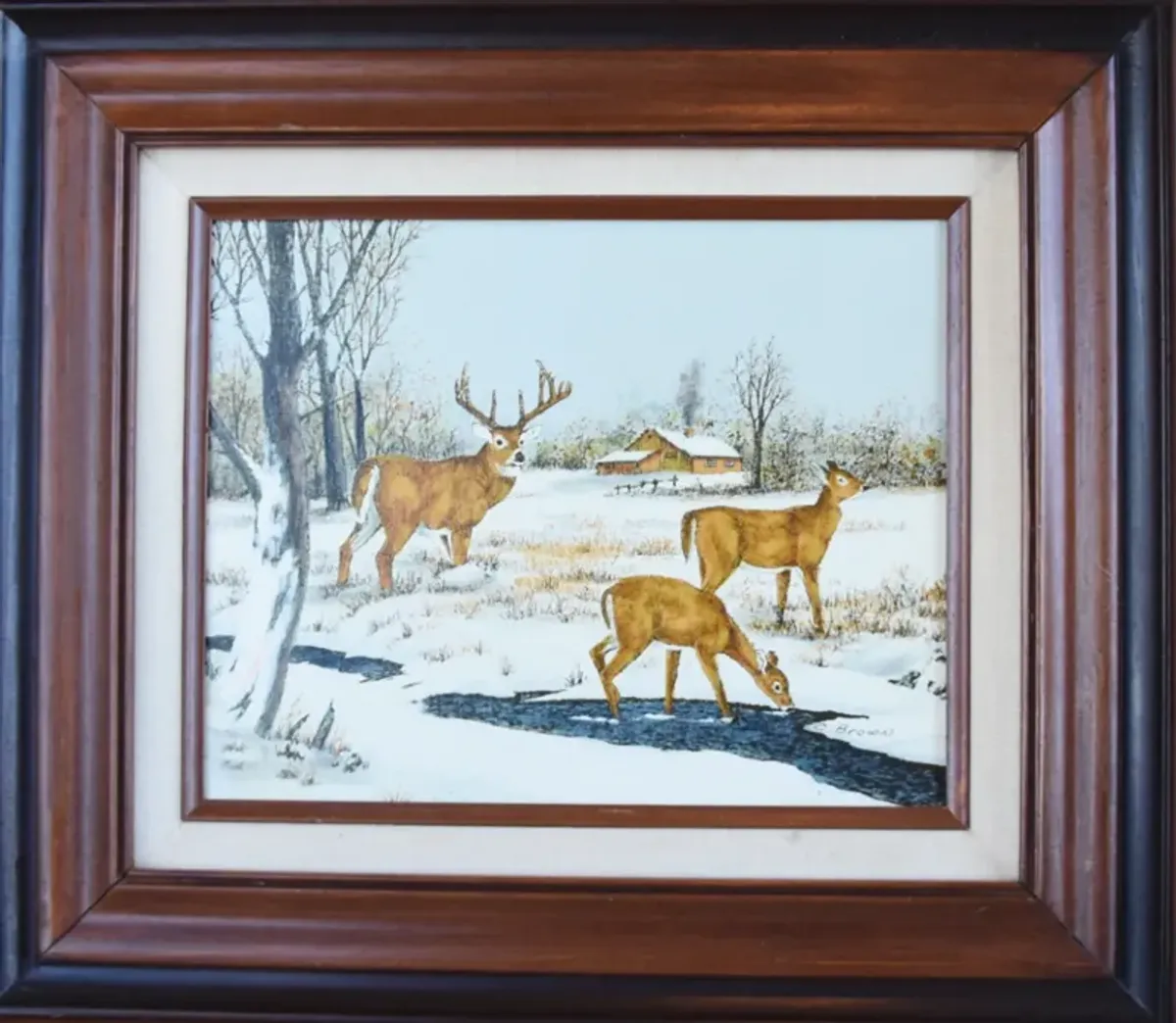 Stag and Doe Deer's in Snowy Landscape - Brown