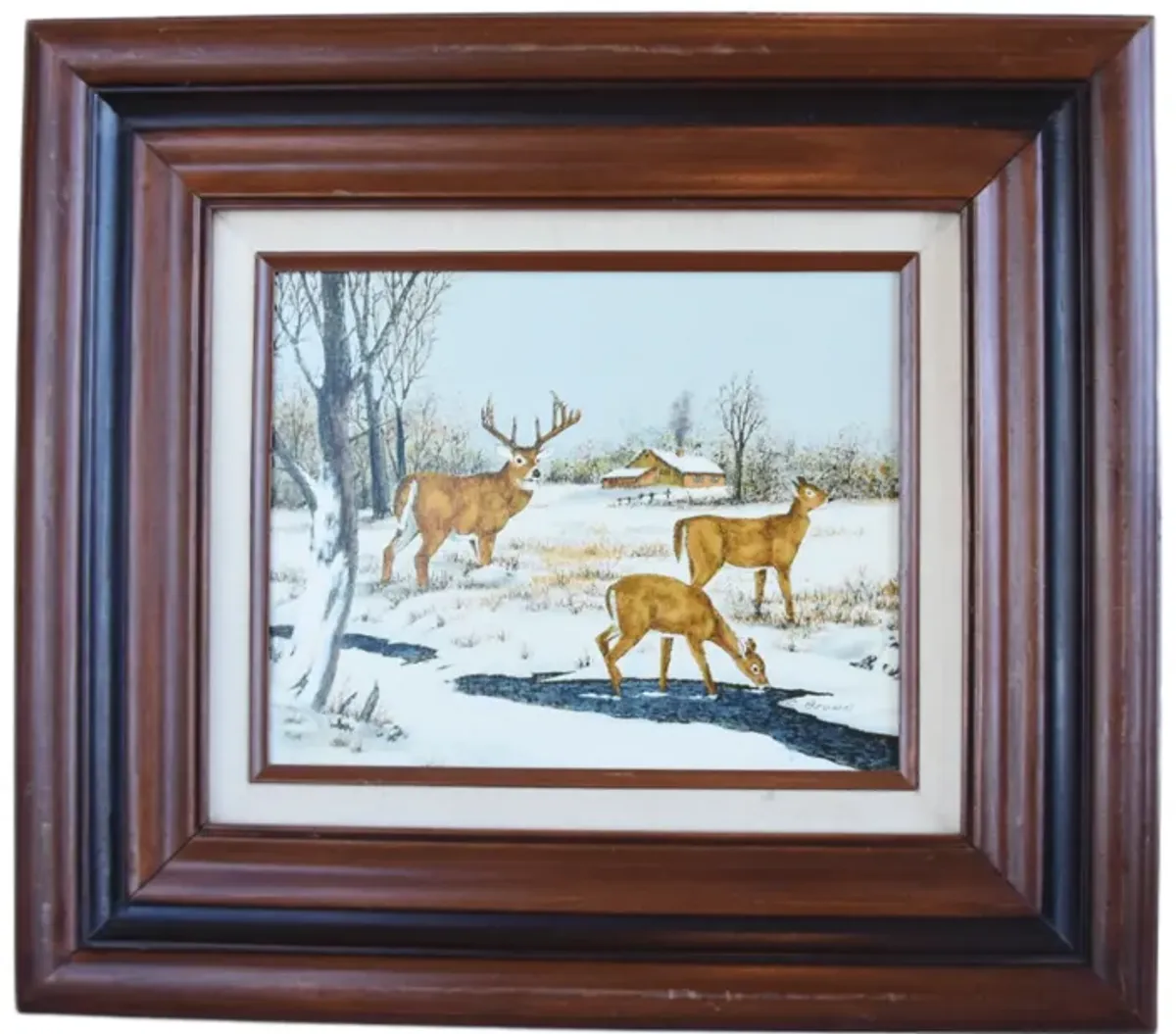 Stag and Doe Deer's in Snowy Landscape - Brown