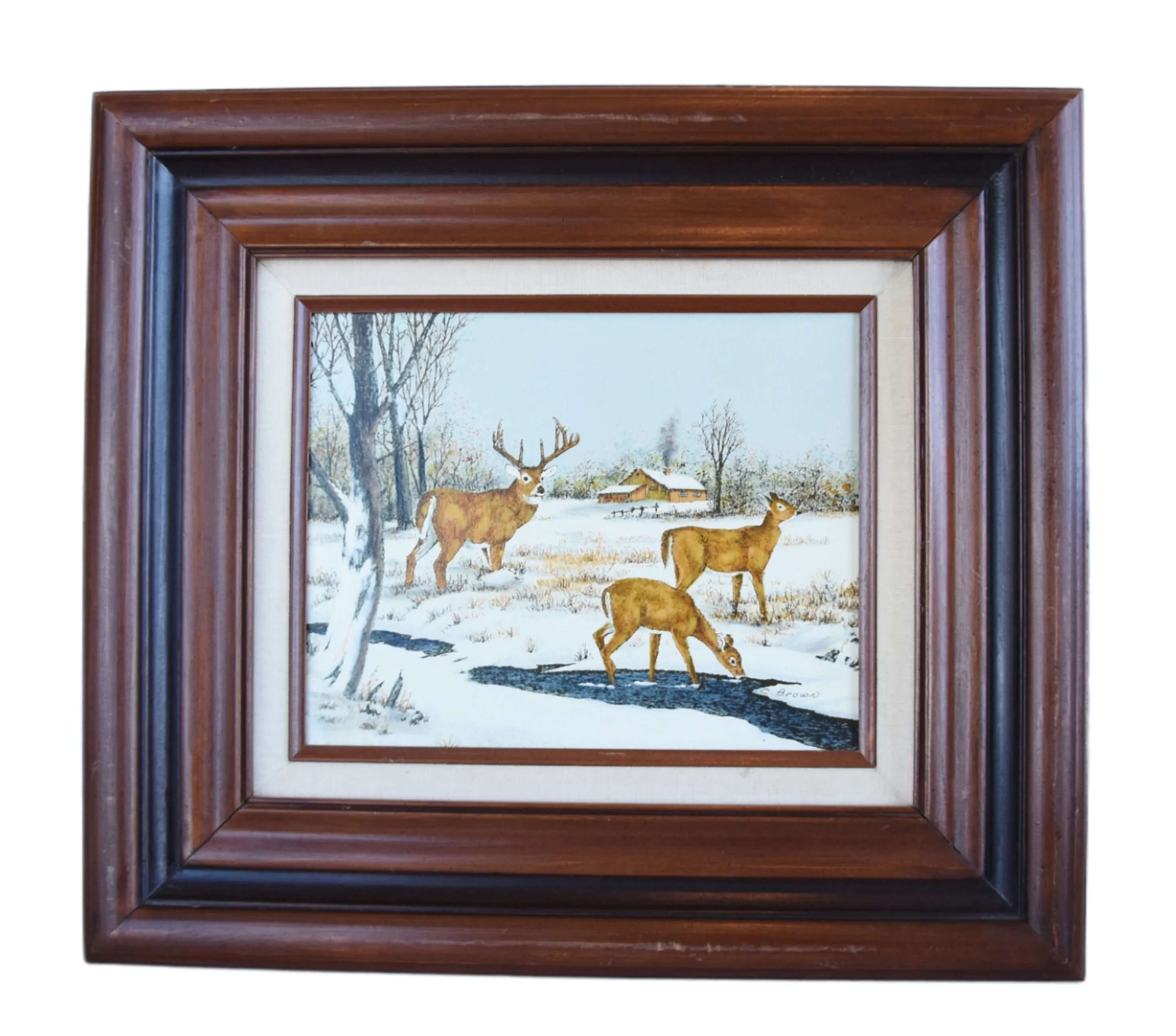 Stag and Doe Deer's in Snowy Landscape - Brown