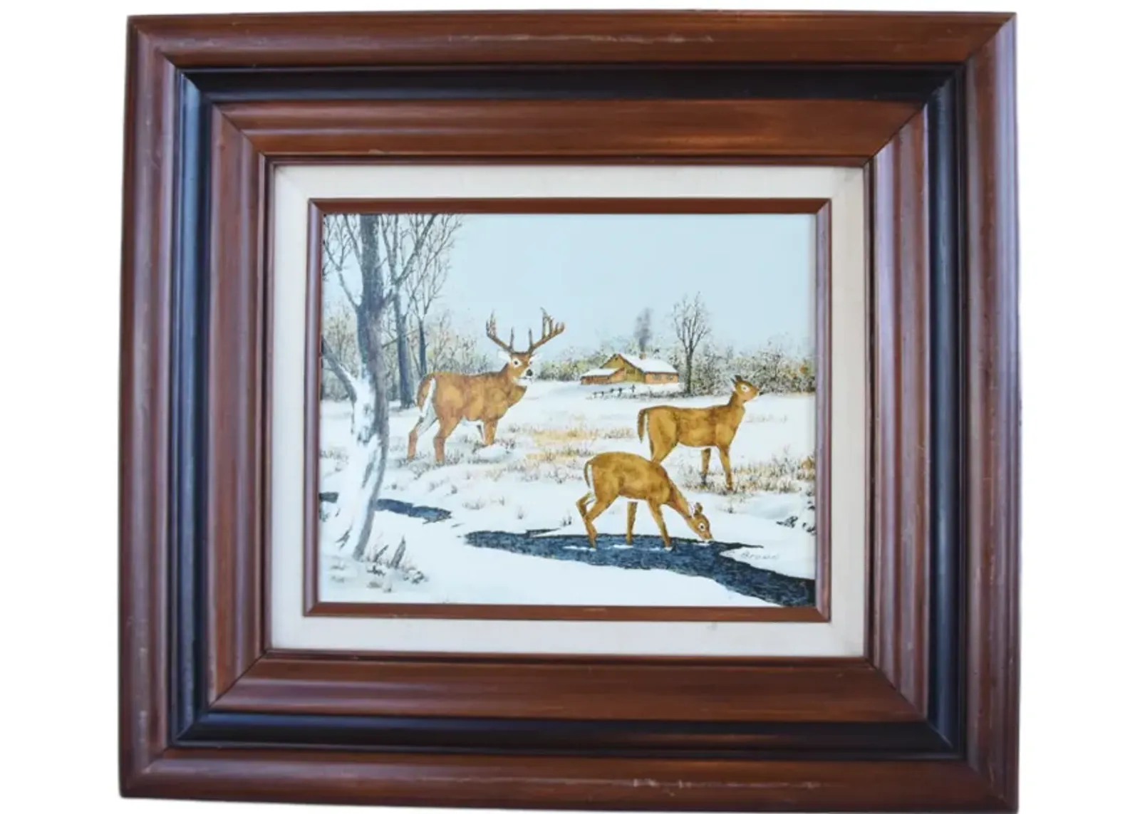 Stag and Doe Deer's in Snowy Landscape - Brown