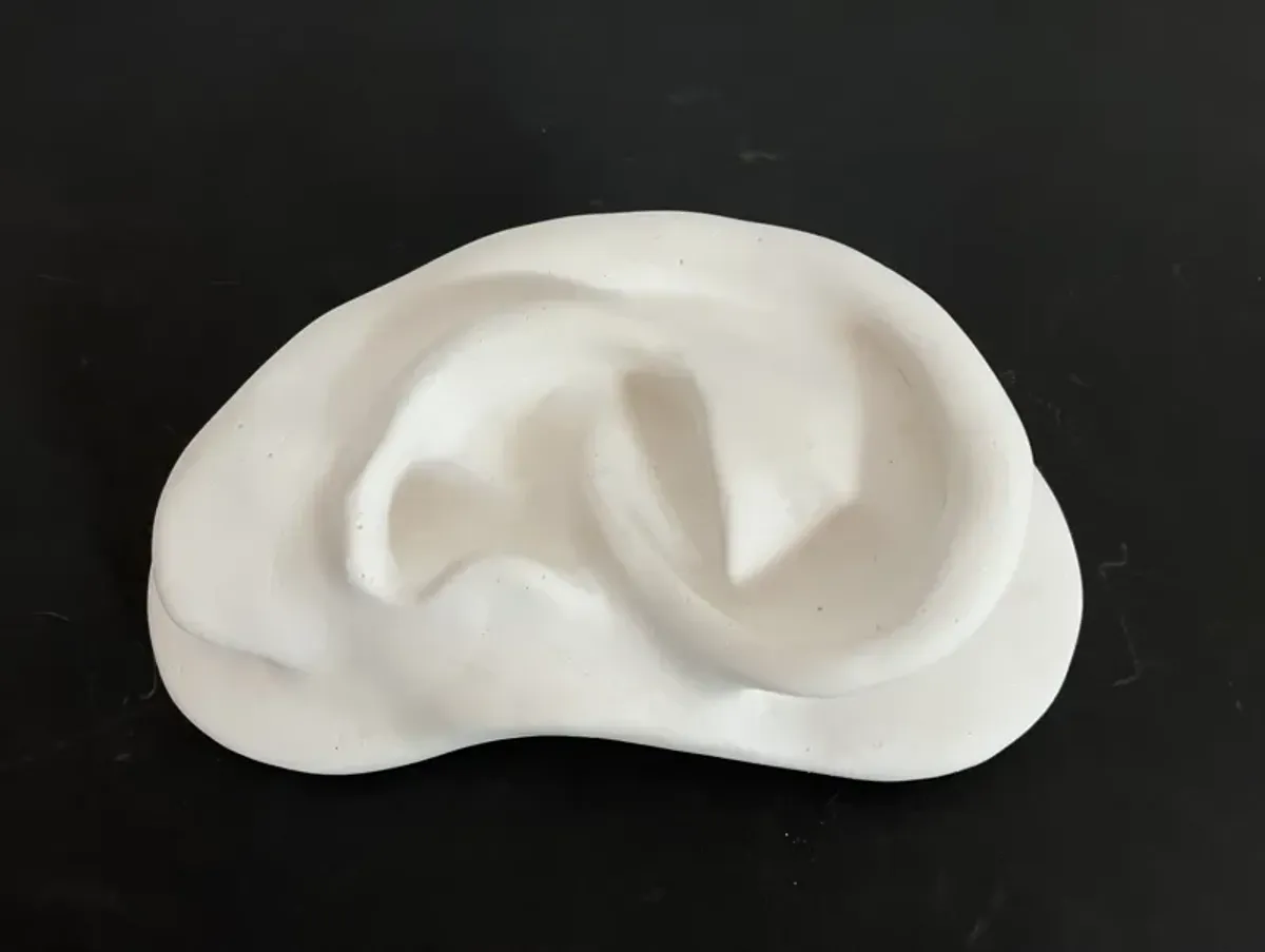 Plaster Ear Wall Sculpture - C the Light Interiors - White