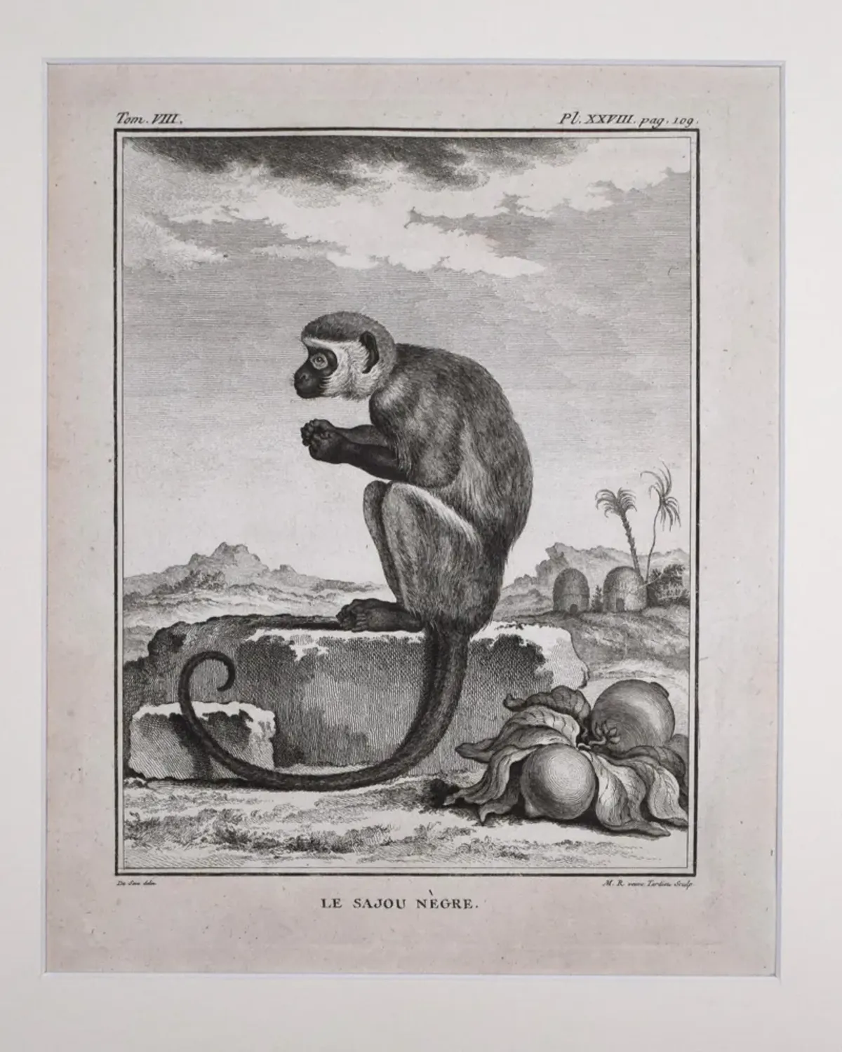 18th Century French Monkey Engraving - Antiquarian Art Company - Black