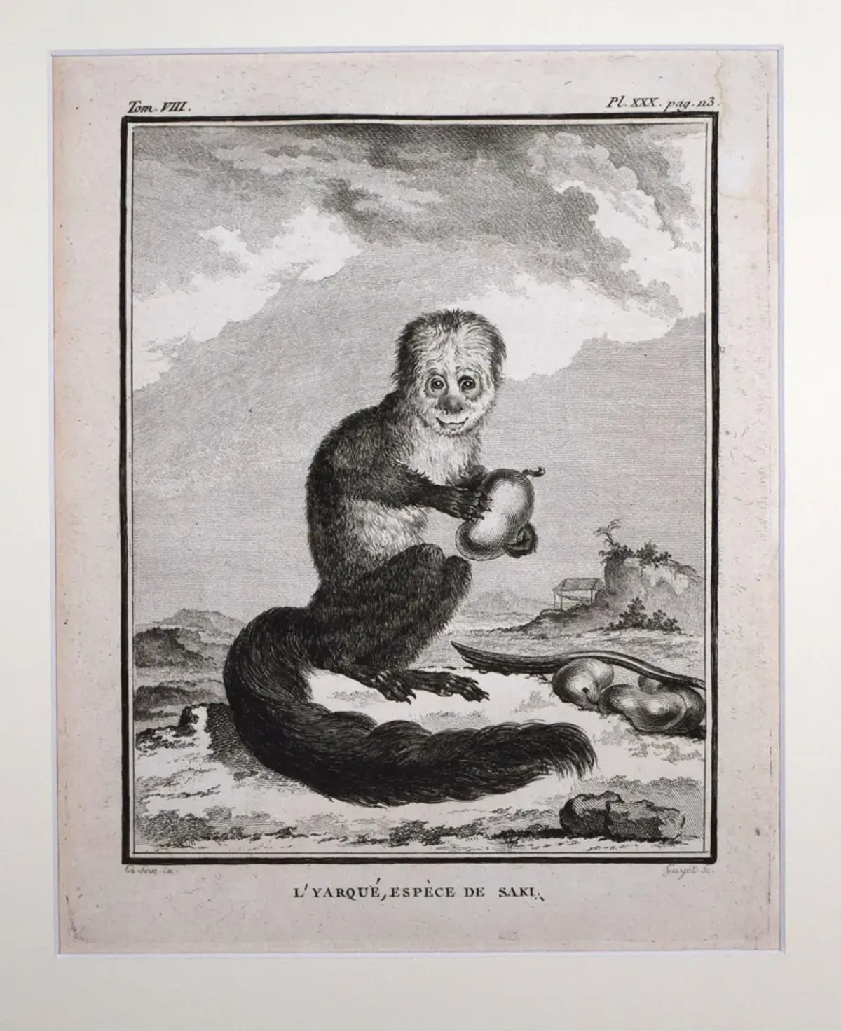 18th Century French Monkey Engraving - Antiquarian Art Company - Black