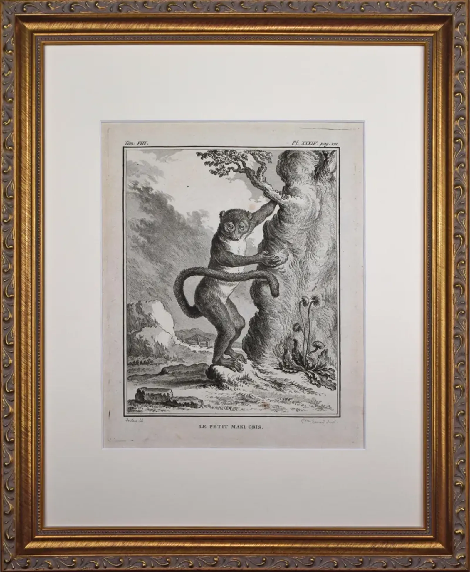 18th Century French Monkey Engraving - Antiquarian Art Company - Black