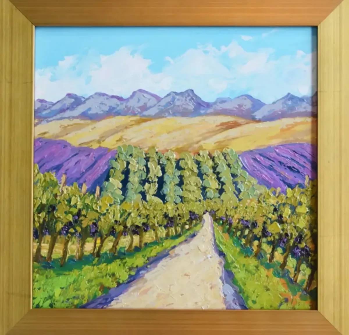 Wine Grape Vineyard & Mountain Landscape - Green