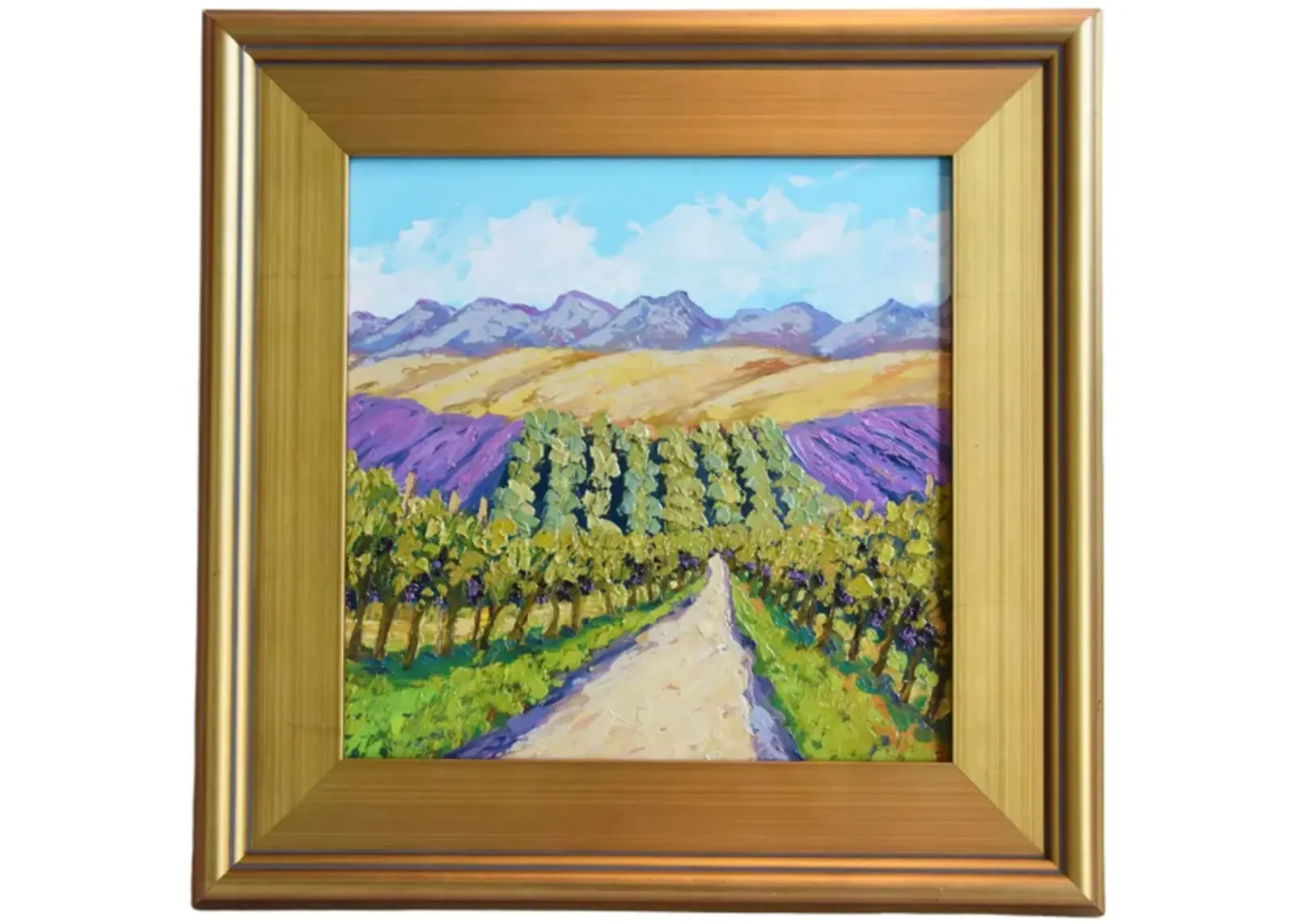 Wine Grape Vineyard & Mountain Landscape - Green