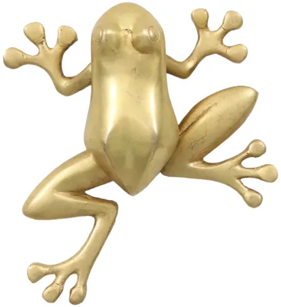 Brass Tree Frog Door Knocker - Interesting Things - Gold