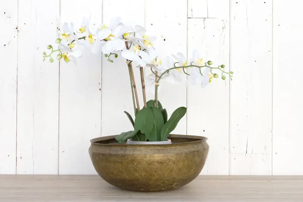 Antique Brass Food Storage Bowl - de-cor - Gold