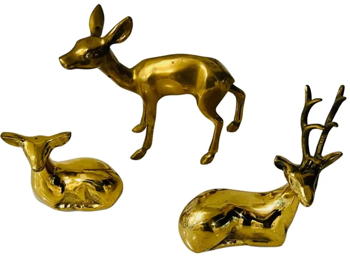 Solid Brass Reindeer - Set of 3 - Eat Drink Home - Gold