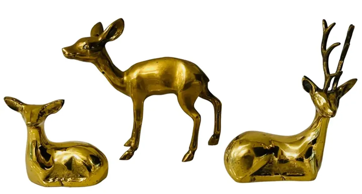 Solid Brass Reindeer - Set of 3 - Eat Drink Home - Gold