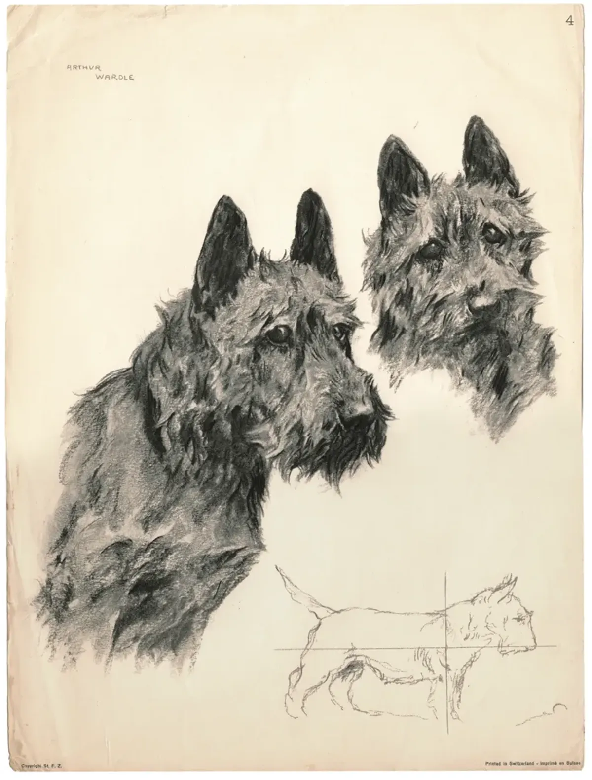 1930s Swiss Print of Scotty Dog Drawing - Fleur de Lex Antiques - Black