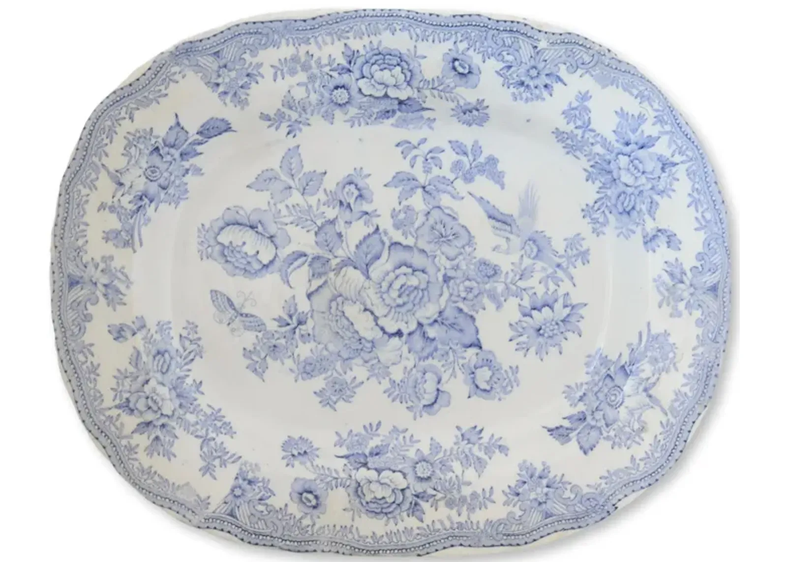 Wedgwood Asiatic Pheasant Platter - Rose Victoria - Blue