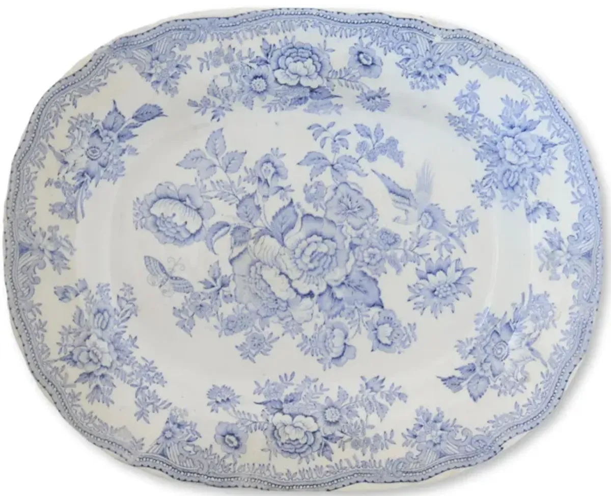 Wedgwood Asiatic Pheasant Platter - Rose Victoria - Blue