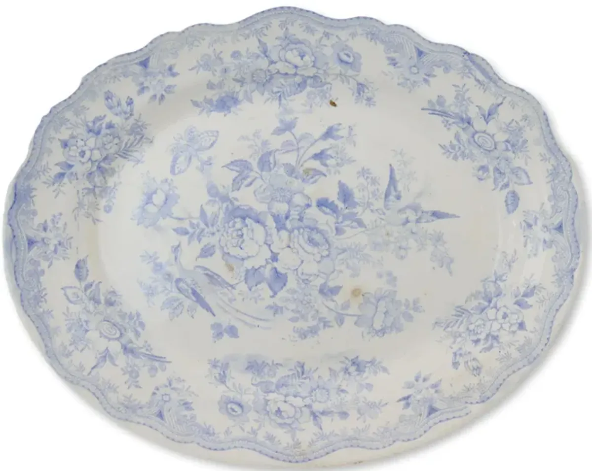 Asiatic Pheasant Staffordshire Platter - Rose Victoria - Blue