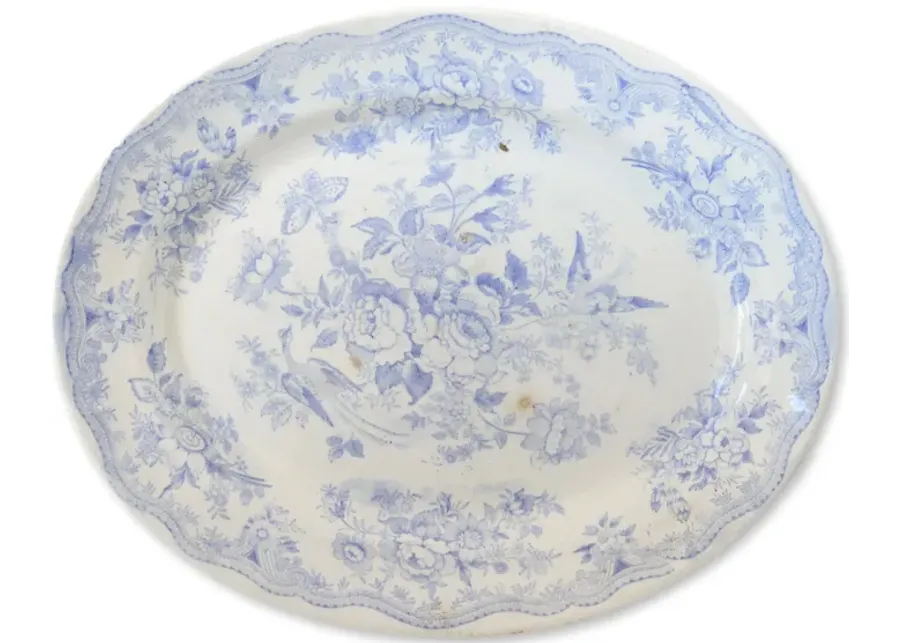 Asiatic Pheasant Staffordshire Platter - Rose Victoria - Blue