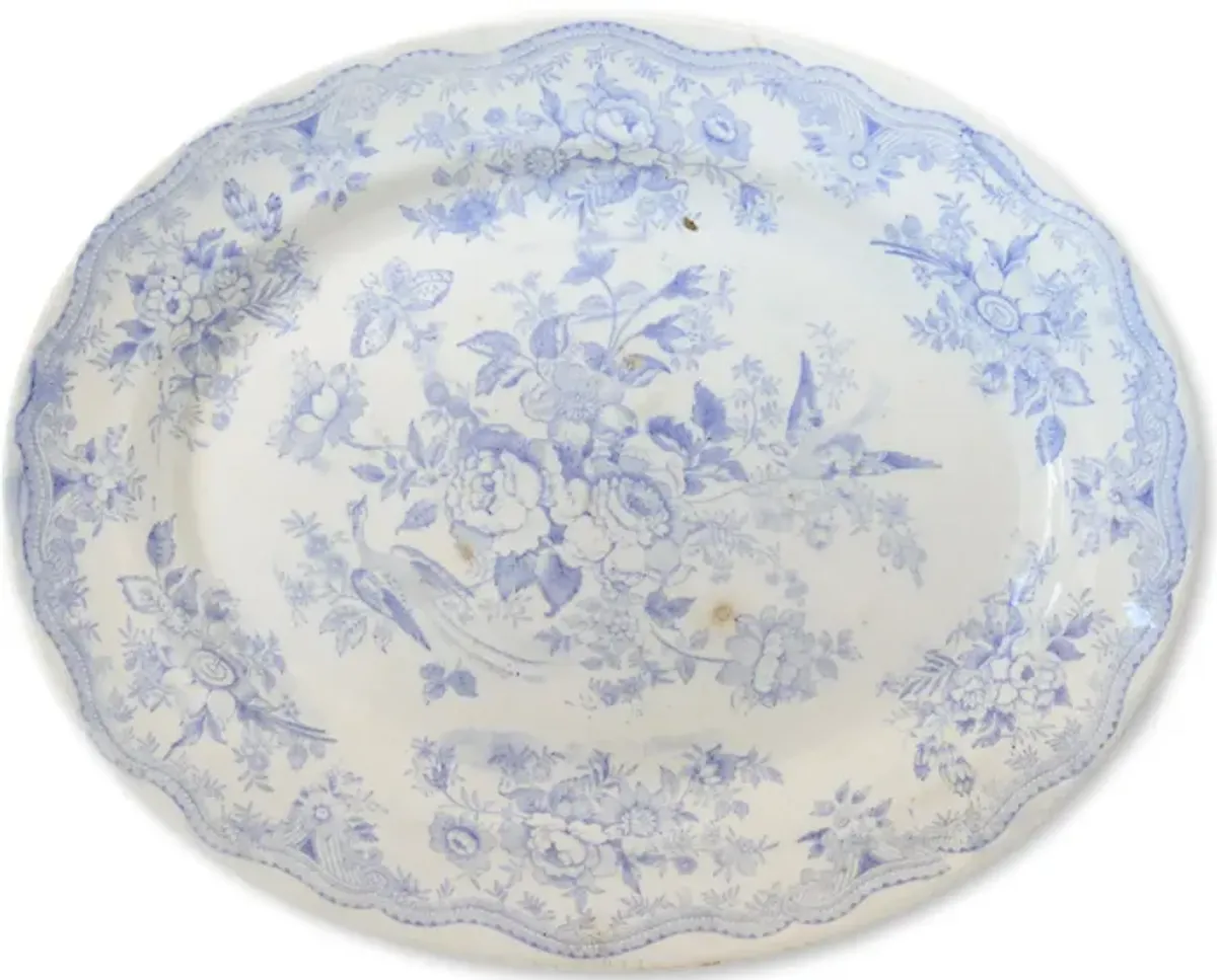 Asiatic Pheasant Staffordshire Platter - Rose Victoria - Blue