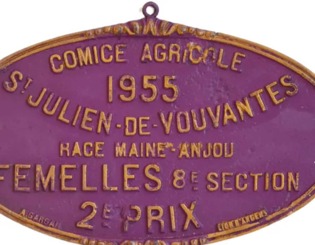 1955 French Prize Award Trophy Plaque - purple