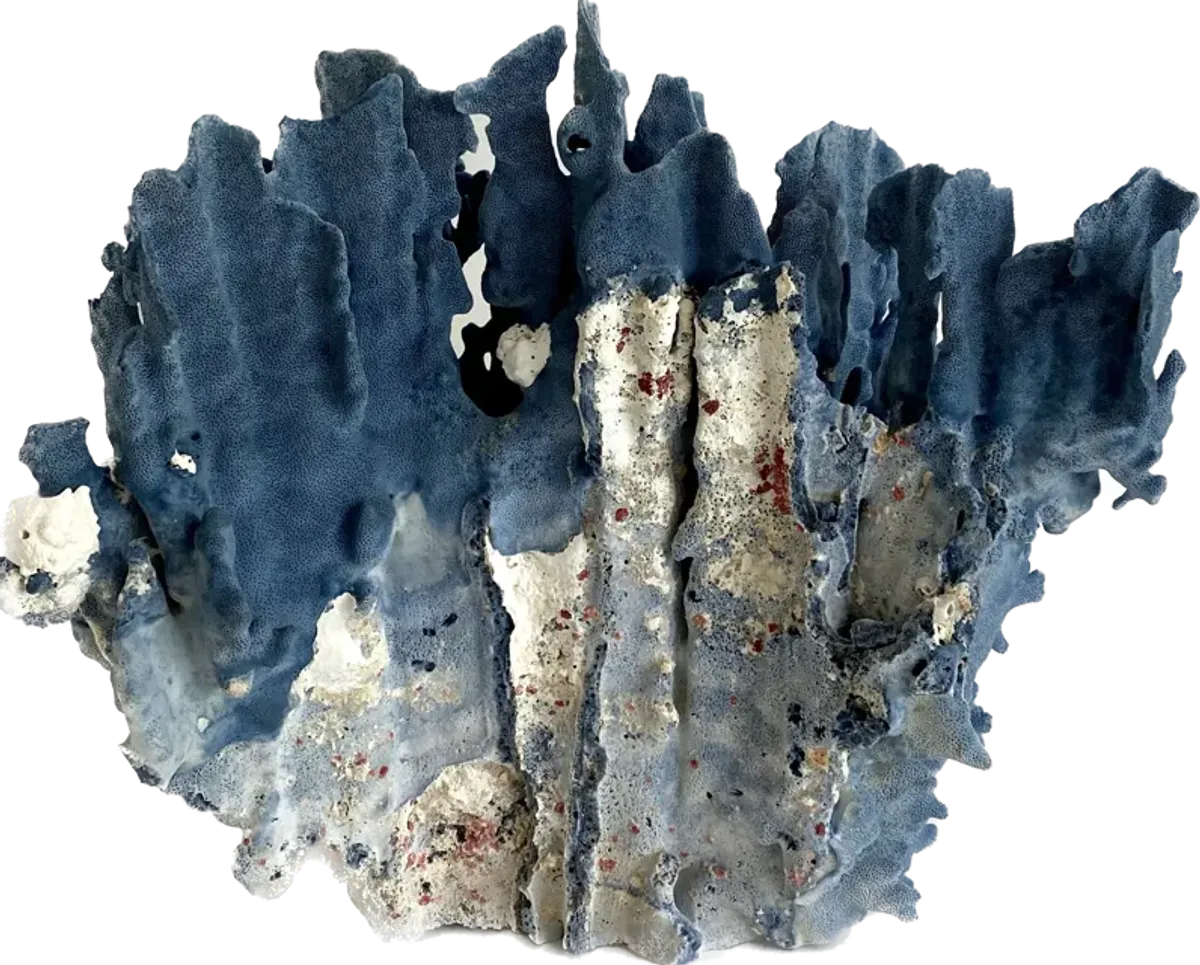 Exceptional Natural Blue Coral Specimen