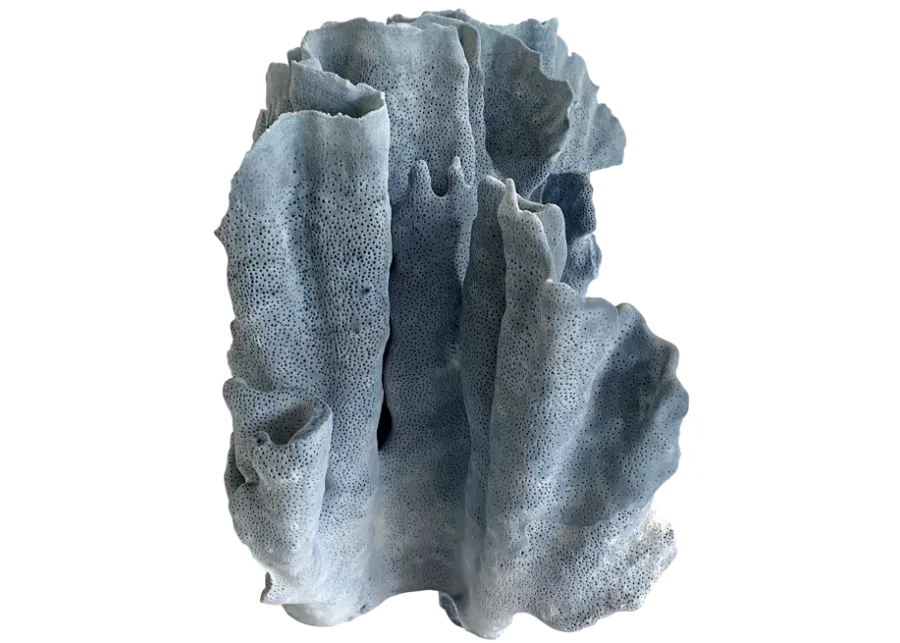 Natural Blue Coral Specimen